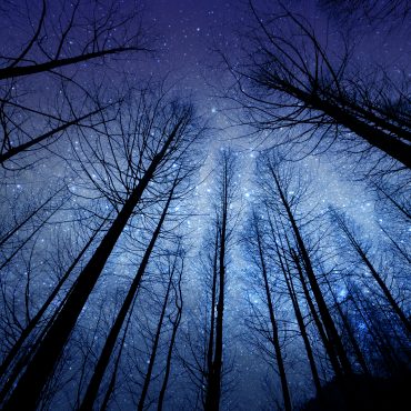 junge-frau-und-aeltere-frau-schauen-richtung-wasser